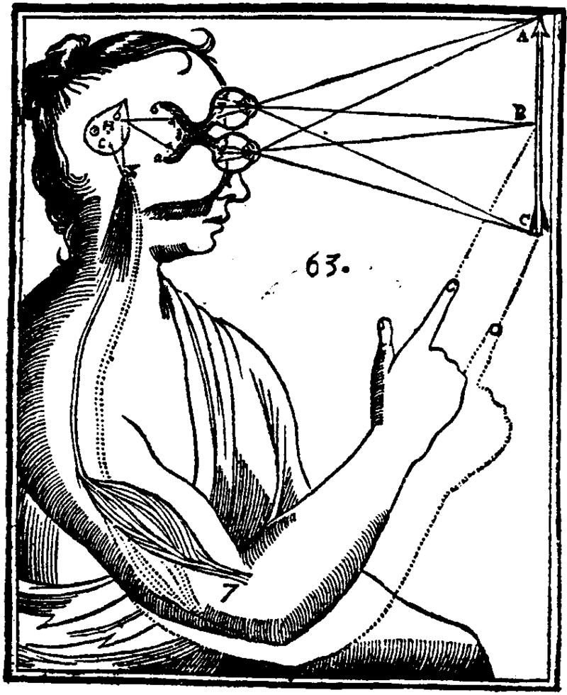 Imagen: Diagrama de Descartes. Wikimedia Commons